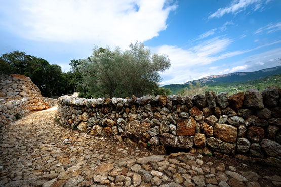 wandern mallorca westküste la granja banyalbufar