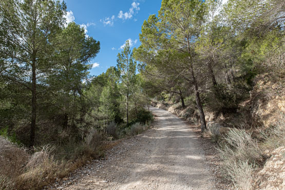 Mallorca Wandern sarraco s'arraco Sant Elm Port Andratx