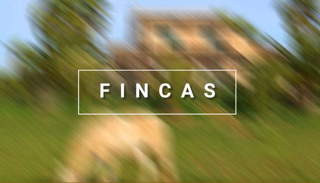 TRAILER_FincasWEBneu700